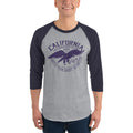 Men's 3/4th Sleeve Raglan T- Shirt - California- LA- Eagle